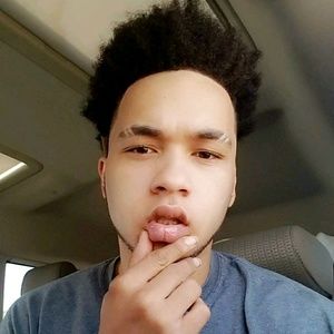 Meet your Posher, Harrison